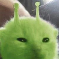 gato alien juas juas