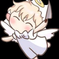 kato_55