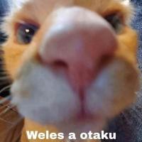 Al_chile_que_pedo