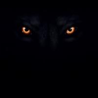 Liveevil lovemate