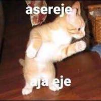 Asereje aja eje