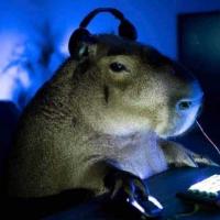 Capibara_19