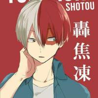 Shotou Todoroki