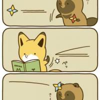 Tanuki & Kitsune Tanuki & Kitsune