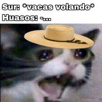 El Negro✌🏿