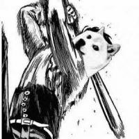 Robin69