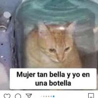 Hptts_evelyn