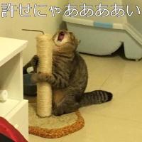 Flicker!