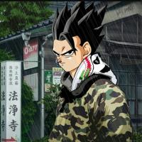 Sauce Gohan