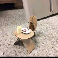 Tu gfesita Te Est&aacute; Mirando